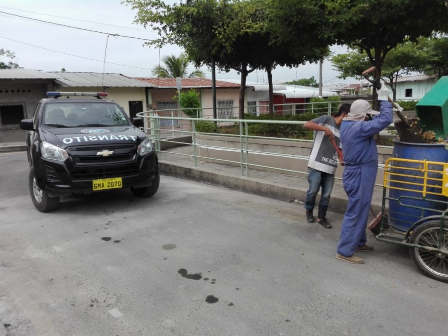 Medidas de control con sanciones de trabajos comunitarios en el cant&oacute;n Pedro Carbo