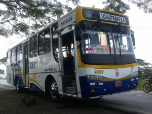 Constataci&oacute;n de buses con permiso de operaci&oacute;n en el cant&oacute;n Daule